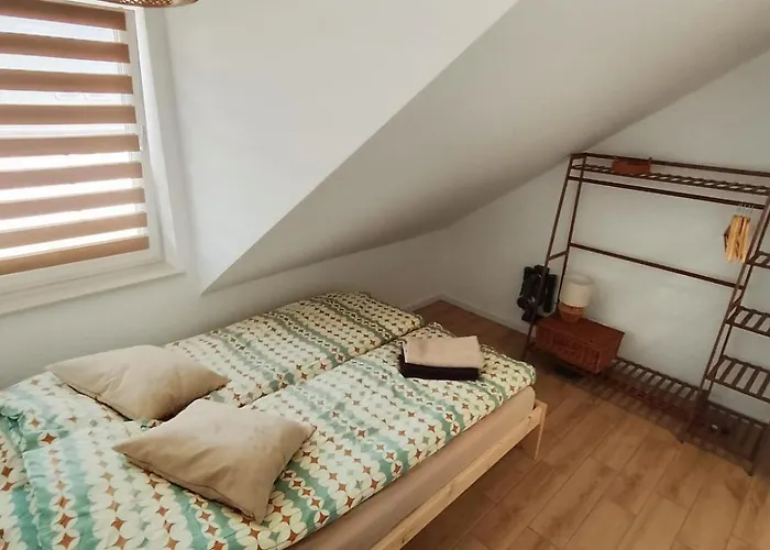 W Kropli Baltyku 达尔沃沃